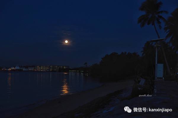 多图！新加坡的海上升明月如梦如幻