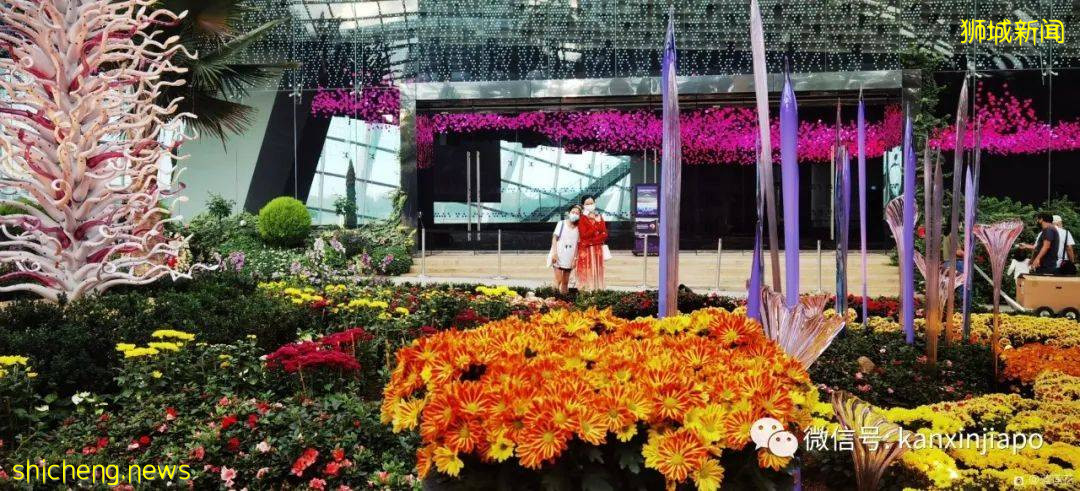 新加坡親子好去處！濱海灣～花穹～雲霧森林～空中步道半日遊