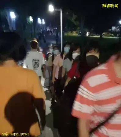 新加坡現“藍色螢光”海浪!這裏擠滿了人,沿路交通擁堵