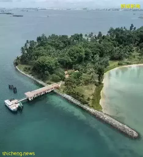 潜水爱好者快来报名！新加坡启动保护珊瑚计划