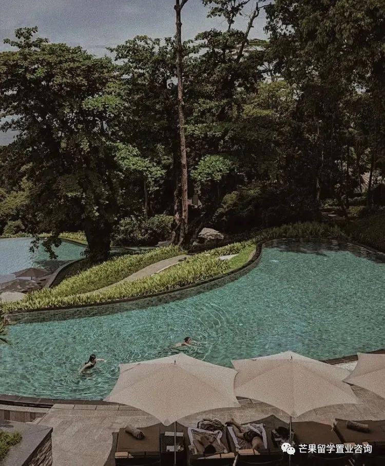 新加坡超人气民宿