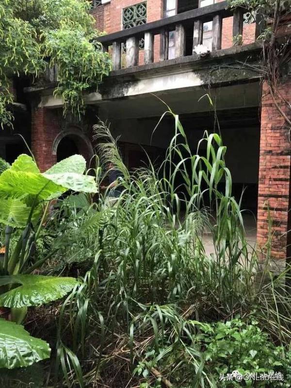 六进南安乐峰,守护潘受祖居