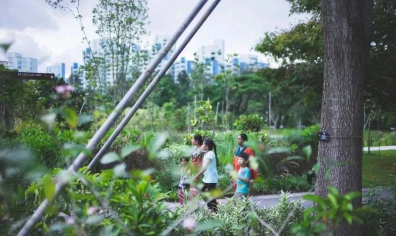 獅城新加坡，怎一個“優秀”了得