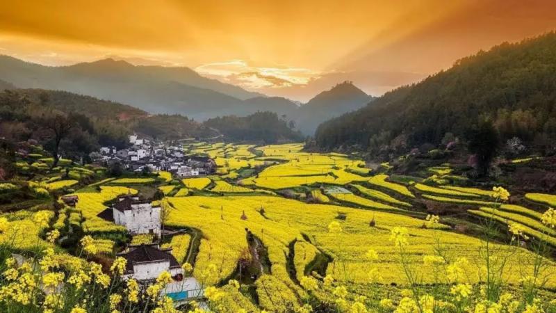 探秘新加坡的"小江西",定制地道家乡味