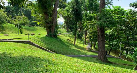 在CBD也可以擁抱綠色自然——細數新加坡那些鬧中取靜的Secret Garden