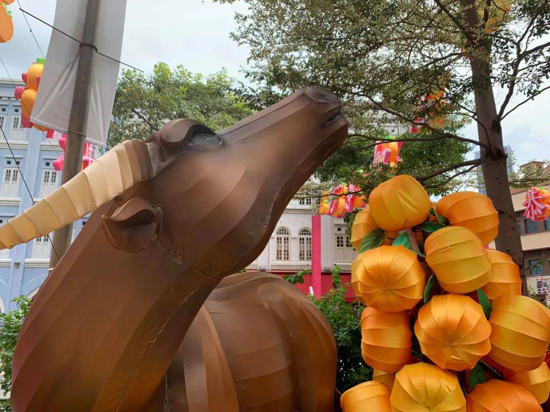 后天!牛车水88个金牛灯点亮迎春节,终于不丑了