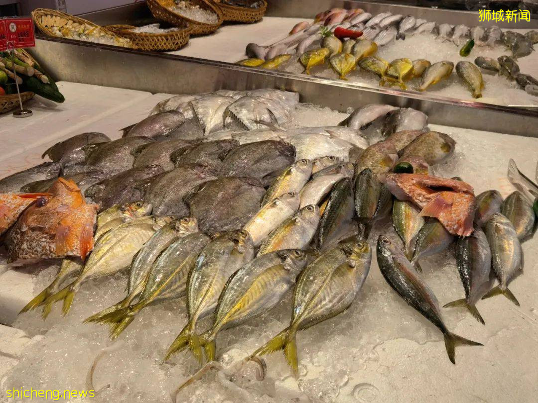 潮汕美食“打冷”,在新加坡也能吃到!百種小吃,人均20新