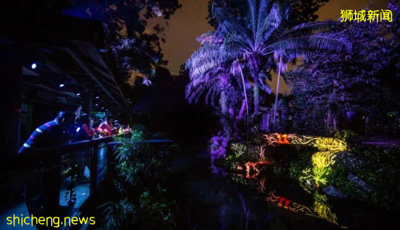 新加坡動物園沉浸式多媒體夜行體驗“RAINFOREST LUMINA”|CAAPA周末分享!