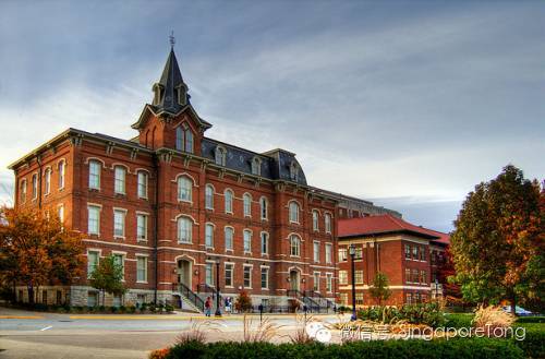 新加坡的教育竟這麽奇葩,顛覆全球爸媽的三觀