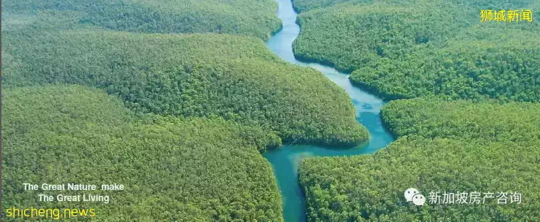 新加坡西南部最大的景觀樓盤Normanton Park 鑫悅府