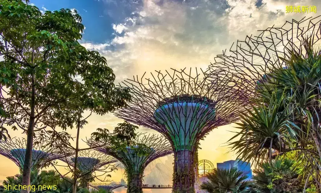 【国际地产】新加坡房产的“投资逻辑”!购房后多久出售更合算