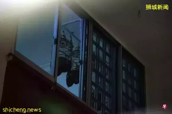 养10鸟被投诉 屋主反呛： “放了我的鸟，你开心我不开心”