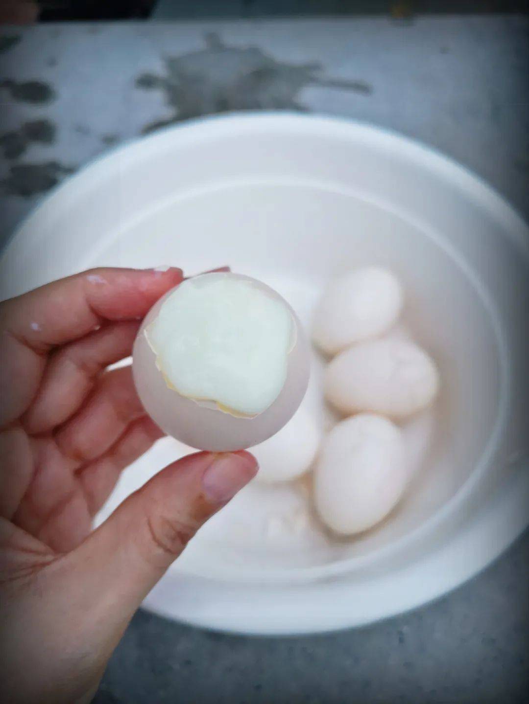 在新加坡泡脚,这里完全免费