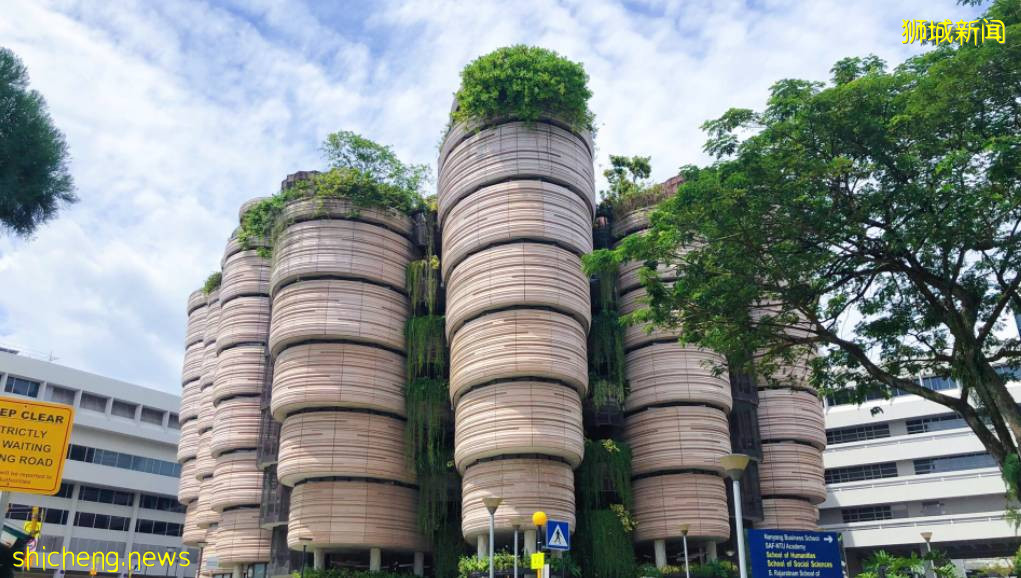 新加坡留學 南洋理工大學理學院2022年fall申請信息彙總 .