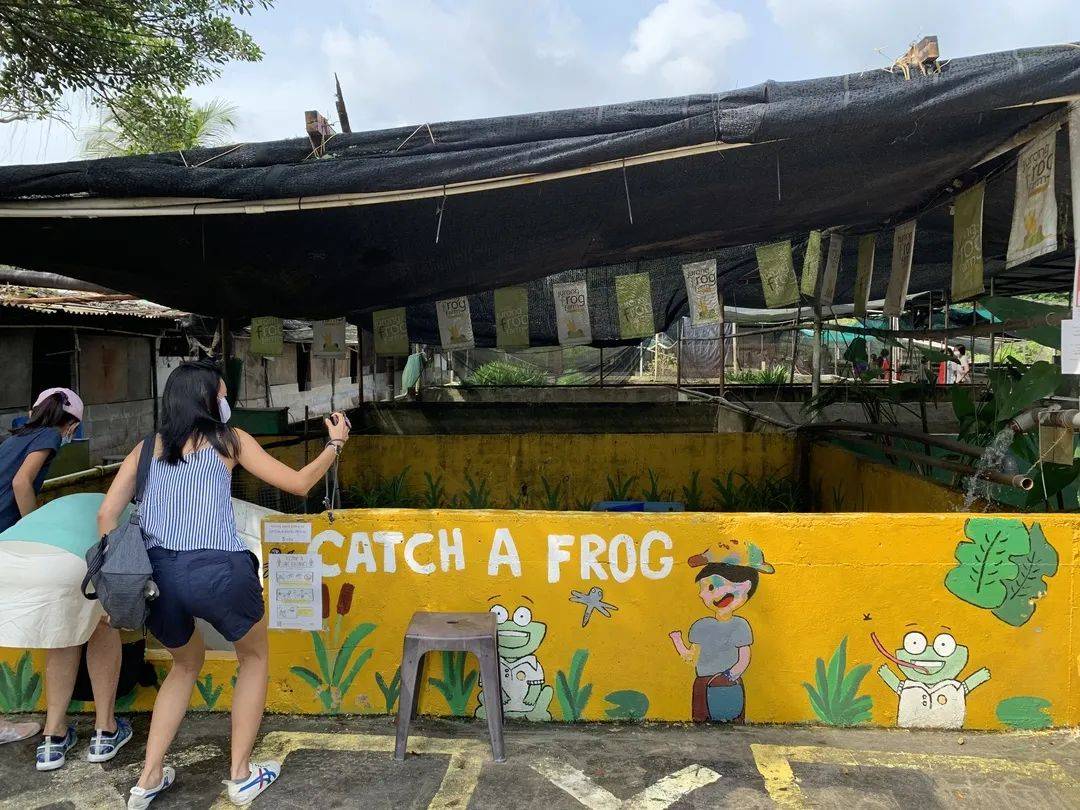 【重新探索新加坡】郊外农场大自然之旅：牧羊场、青蛙农场、双溪布洛带你走透透