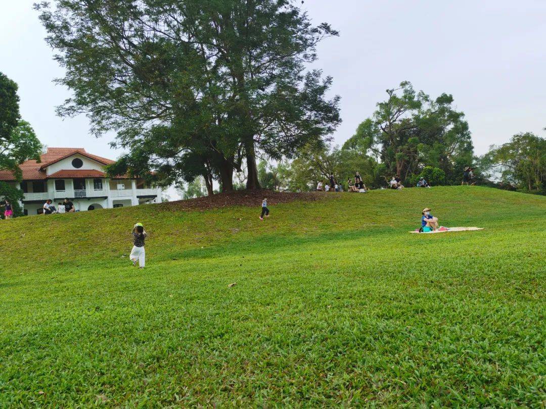 新加坡植物園爆火新景點,不知道怎麽去?手把手教你遊玩攻略