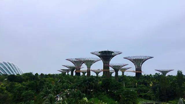 狮城新加坡精华探秘--游玩下篇