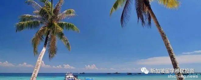 【移民资讯】关注 3分钟带您了解新加坡家族办公室！为何数量几倍增长？富豪为何钟情于此