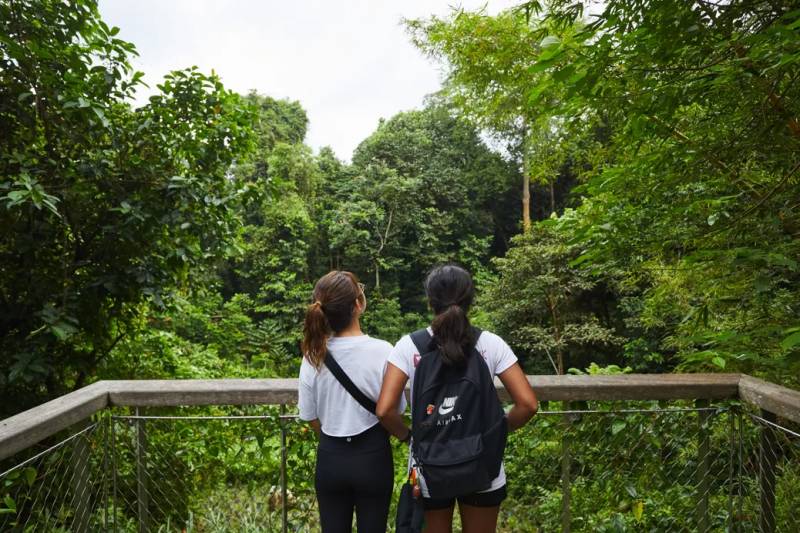 了解新加坡生物多样性,就来华莱士展览中心