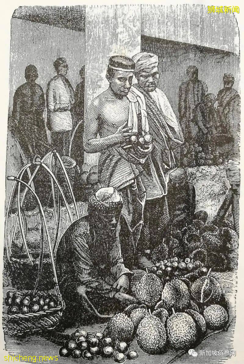 新加坡華語規範情與理，榴梿、榴梿，留哪