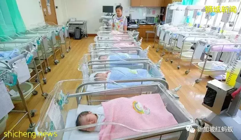 調查：一份工資要養父母養孩子　新港逾半數“夾心層”壓力山大