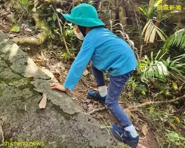 叢林探險、生存挑戰！新加坡戶外學校的6大假期營超級寶藏