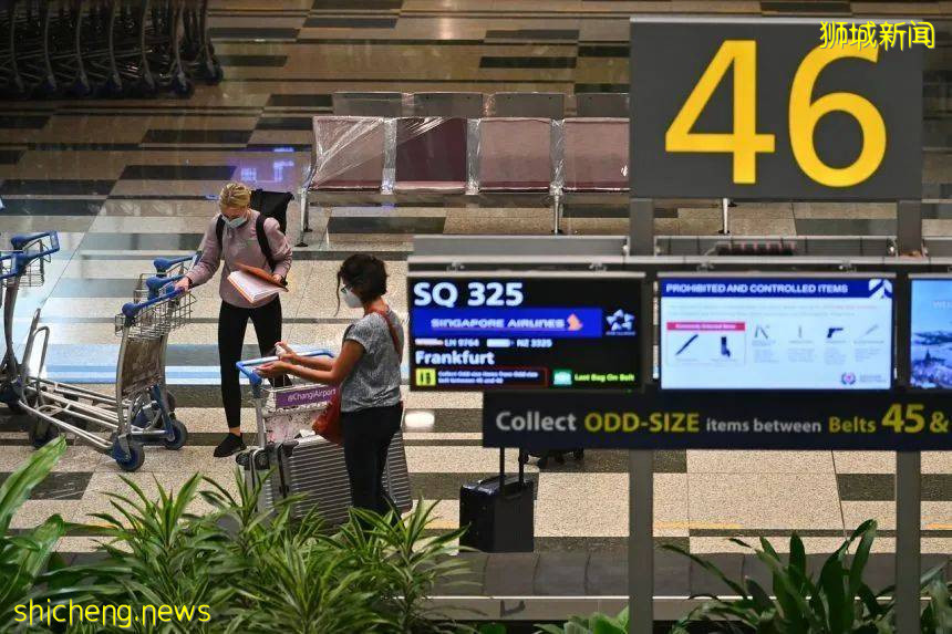 手把手教你申請VTL免隔離入境新加坡