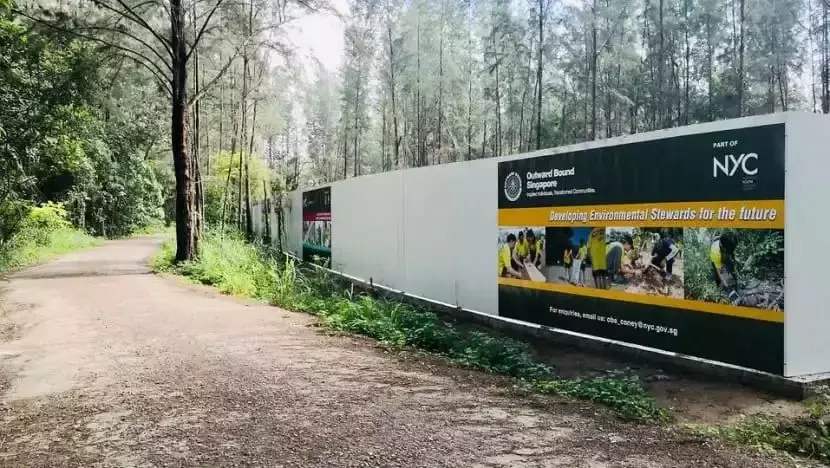 高空户外活动事故引发长远影响，新加坡教育部继续暂停举办相关活动