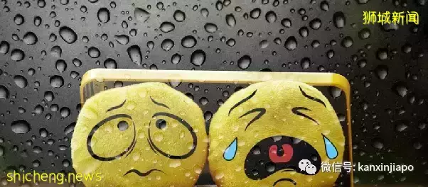 婚外情和疫情一样防不胜防,约会软件推高出轨率