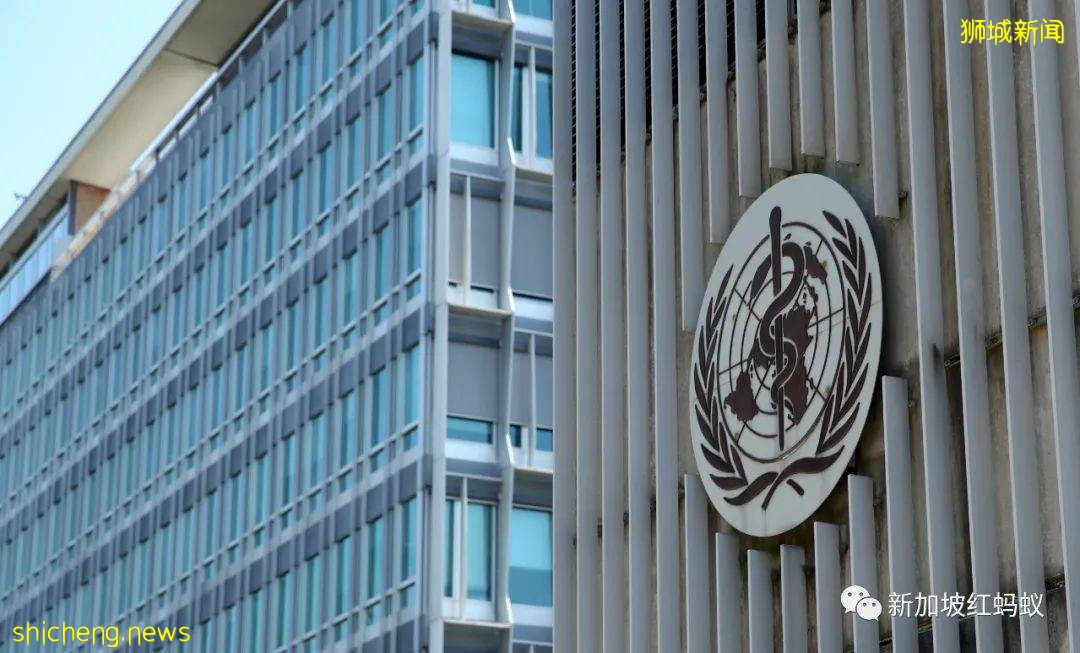 新变种毒株来袭！世卫紧急开会、各国颁布旅游禁令、全球股市大跌