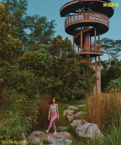 解封後回歸社交生活，有哪些好玩的活動和地點值得一逛？一起來看看吧