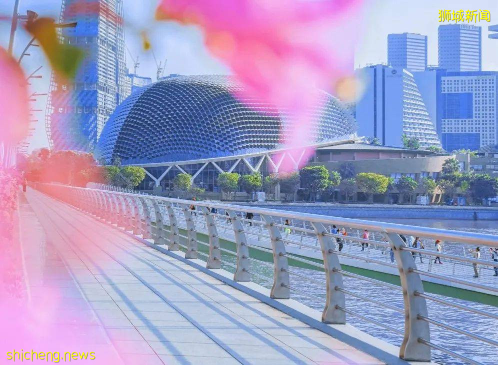 魅力獅城，不容錯過的十大獨特體驗