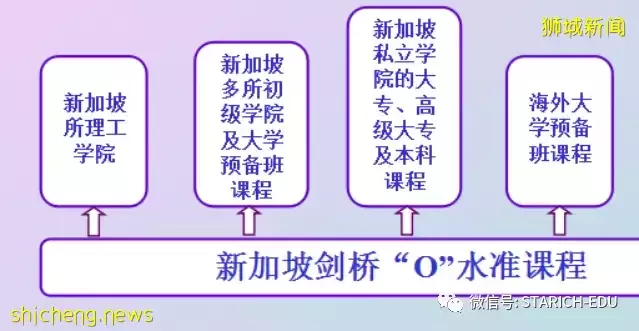 新加坡主流教育最全教育升学体制全解!点击收藏