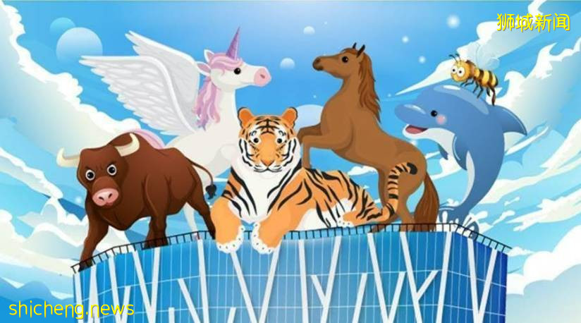 祝贺泰福(Tycoon)正式入职担任新加坡国立大学商学院吉祥物