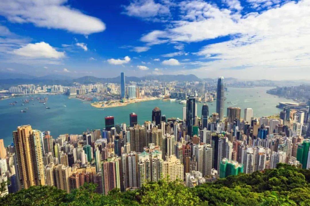 “香港问题，是整个华人世界的问题”