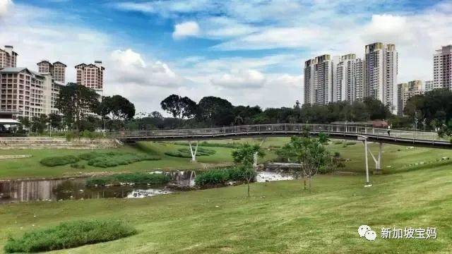 2021新加坡跨年烟火最强观看攻略，大家拿好不谢