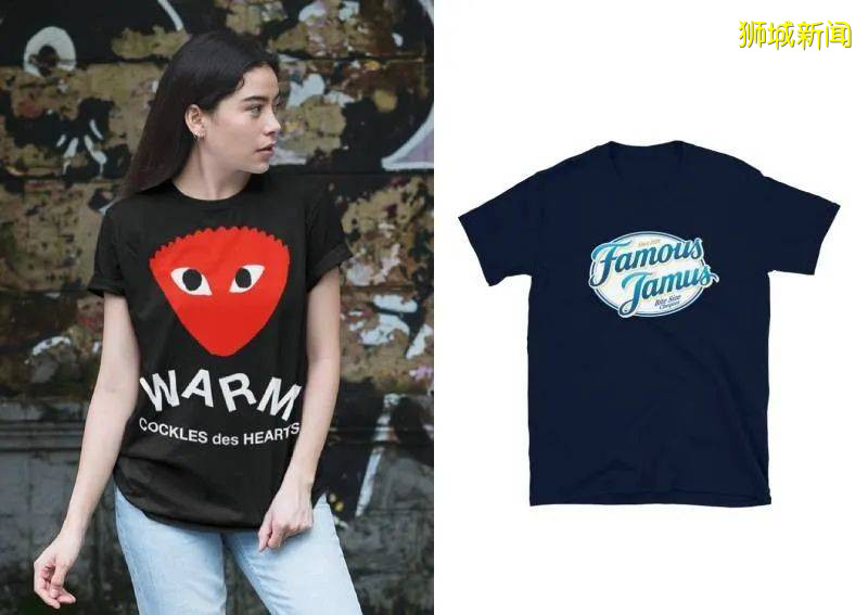 深扒12個進入新加坡國會的反對黨議員！都是何方神聖