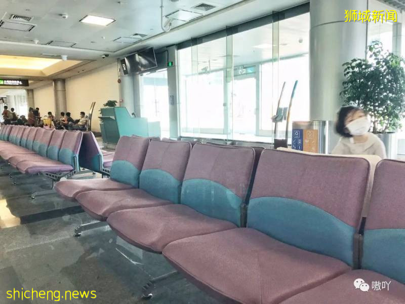 为了回新加坡,一家3口买高价票,隔夜中转28小时