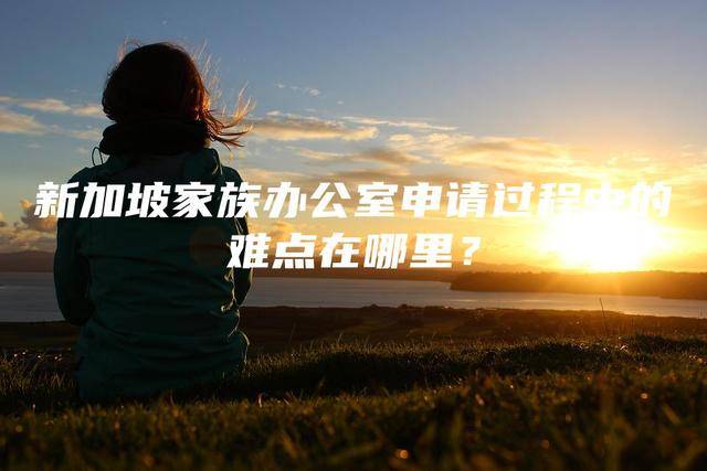 新加坡家族办公室申请过程中的难点在哪里