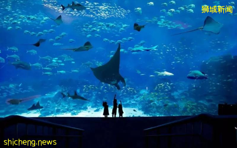 高考倒計時26天，新加坡等你赴約!