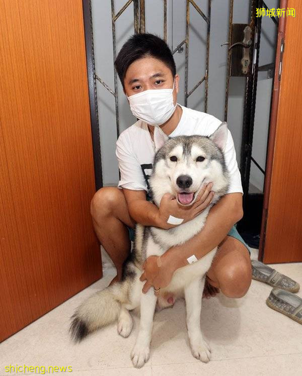 狗咬狗!主人互罵 誰對誰錯