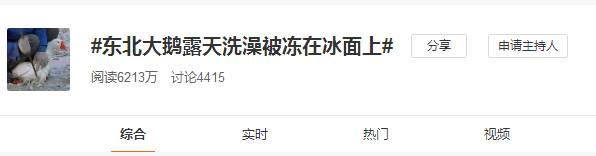 《新加坡最炫東北人圖鑒》