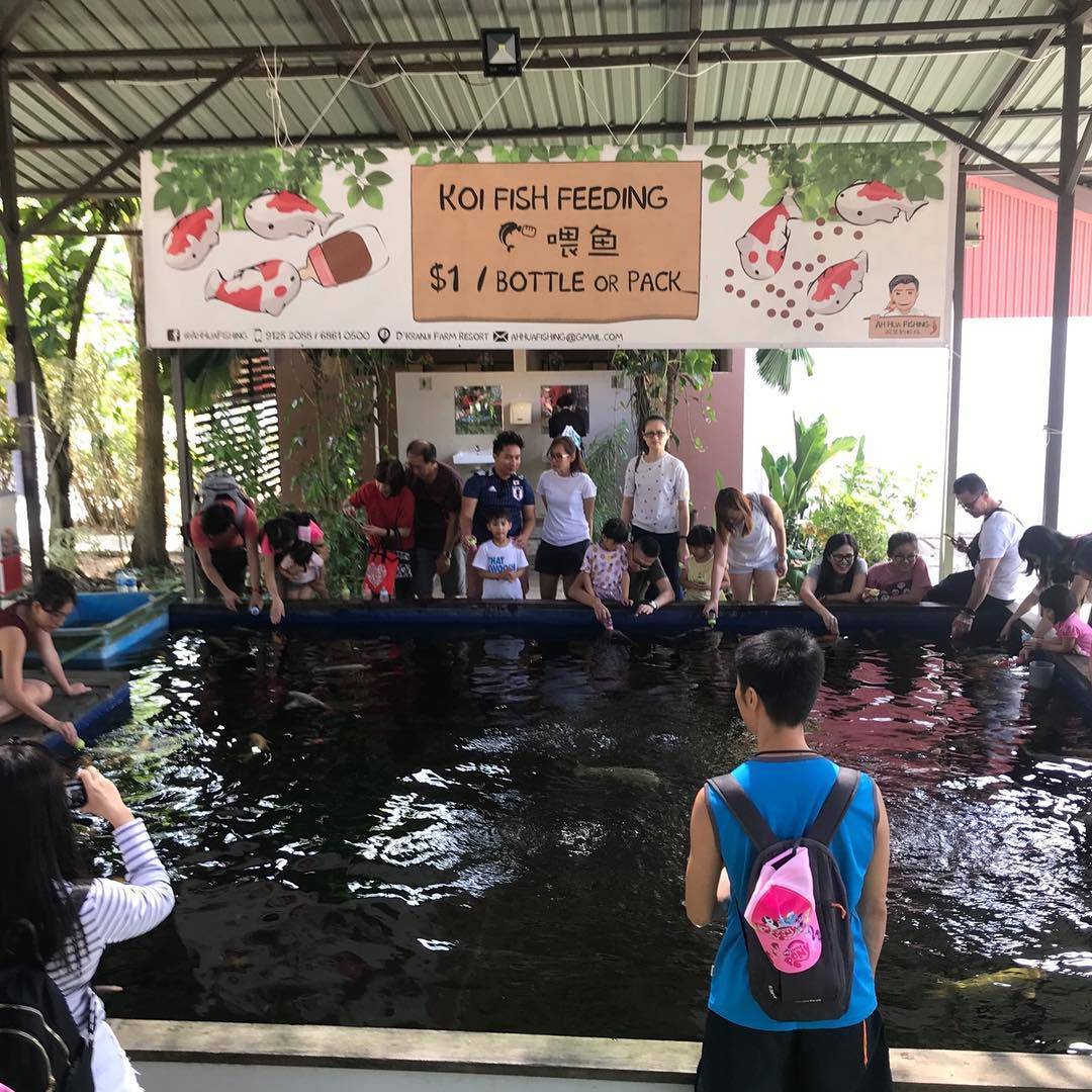 新加坡“垂釣”中心，釣蝦、魚、蟹好去處🐟🦐🦀️ 現釣現烤現吃+冷氣房釣蝦+24小時營業