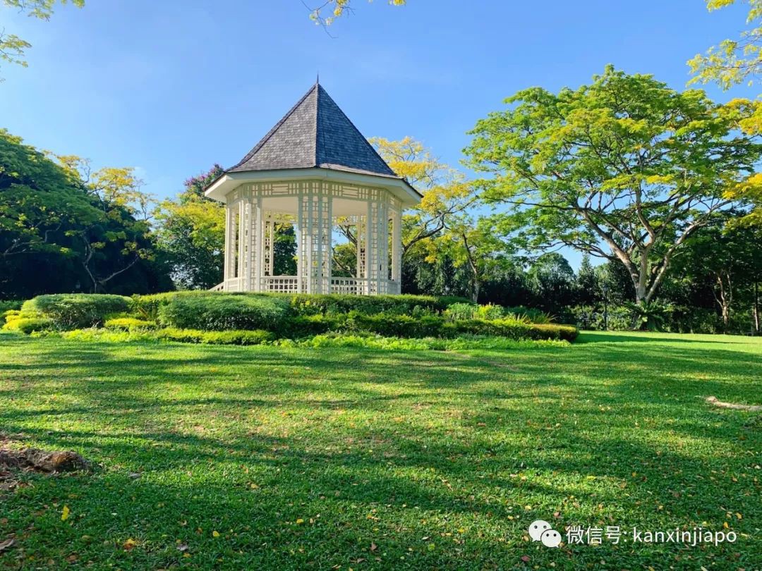 留神！在新加坡看起来“low爆了”的人，可能家里有矿！