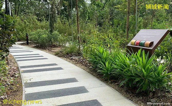 新加坡新開了一個“ 讓心情好起來的神奇兒童公園”，去試試