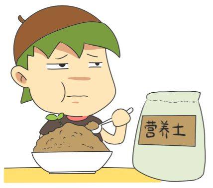 “疫情之後，我到底入籍新加坡還是只拿綠卡？”去年，公民家庭補貼達3800新幣