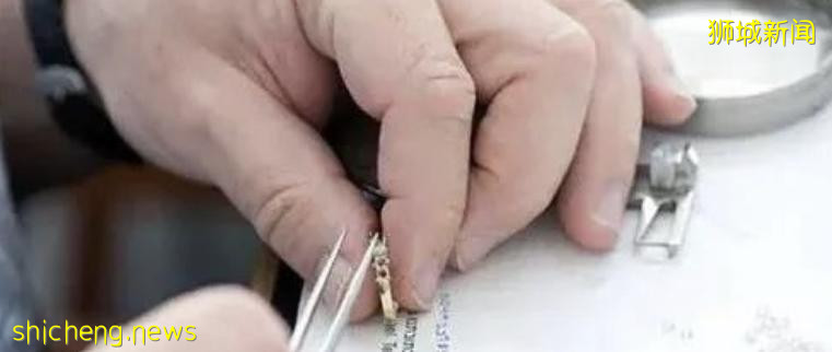 比Moderna更有效！新加坡新冠疫苗下月临床试验