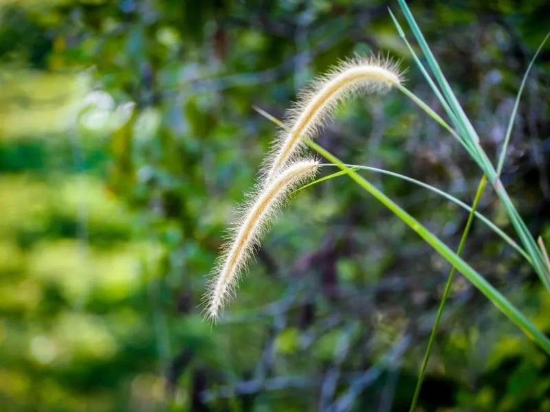 每一張都是 Ins 大片！這樣的新加坡你見過嗎