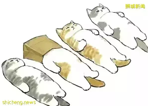 日增2万!亲友纷纷中新冠!新加坡这条小船还能乘风破浪吗