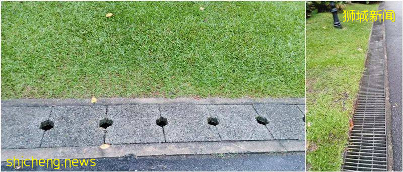 今天,新加坡被大暴雨淹沒了!